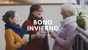 Bono invierno consultar